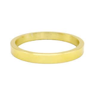 MSK Zierring ZEG Gold