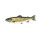 Fisch Decals 1