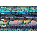 Abalone