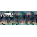 Abalone Purple  16 mm