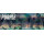 Abalone Purple Ø 16 mm