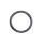 Ringeinlage SIC 6
