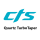 CTS Quartz TurboTaper
