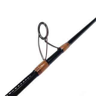 Tusk ETA 11´0 60-120g