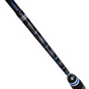 CTS CSD 7´5  30-60g