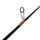 CTS Brillo 6´0  4-10g