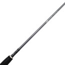 CTS CSD 8´6  10-25g